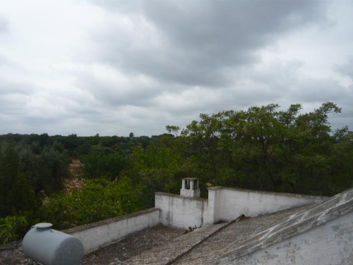 Image No.19-6 Bed Farmhouse for sale