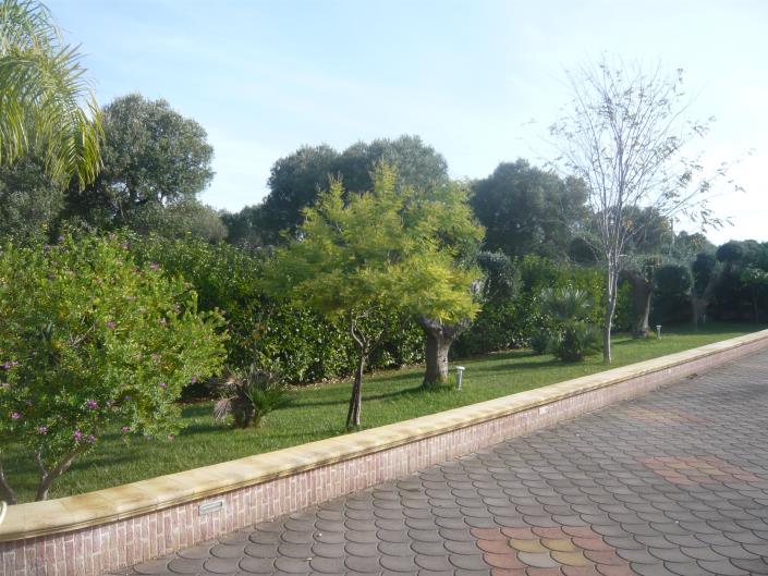 Image No.6-4 Bed Villa for sale