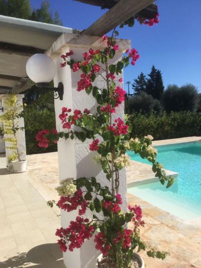 Image No.7-Villa de 2 chambres à vendre à San Vito dei Normanni