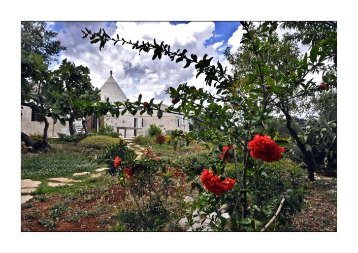 Image No.10-Villa de 7 chambres à vendre à Ostuni