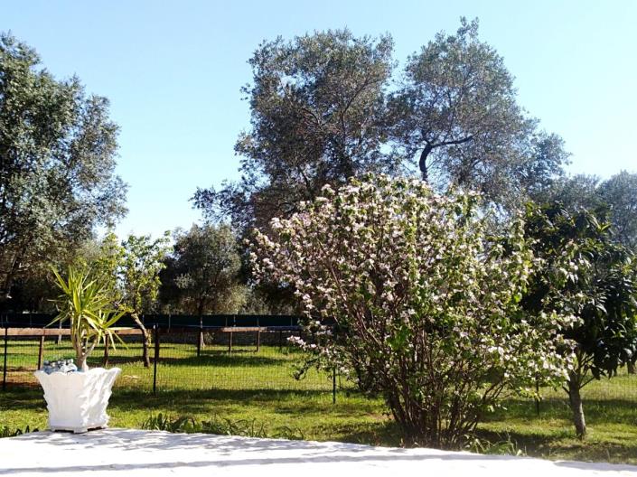 Image No.20-Villa de 3 chambres à vendre à San Vito dei Normanni