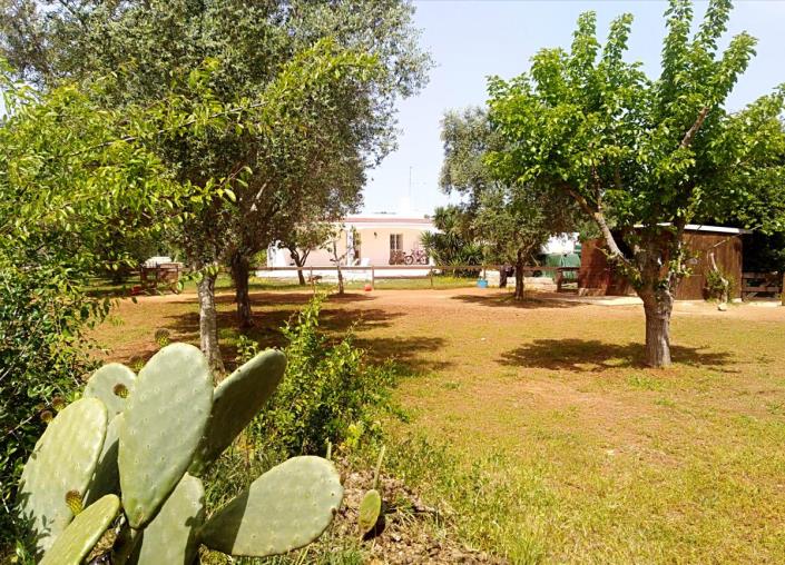 Image No.21-Villa de 3 chambres à vendre à San Vito dei Normanni