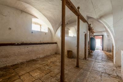 00055_TENUTA-VILLA-ELCE