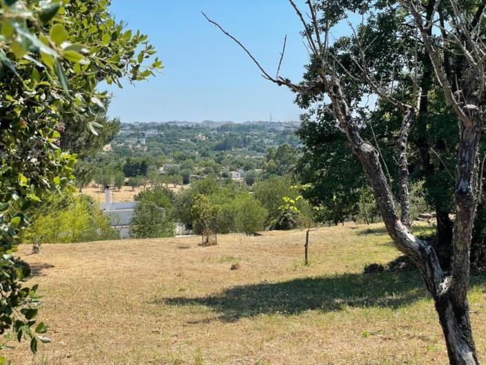 Image No.5-Maison / Villa de 1 chambre à vendre à Ostuni