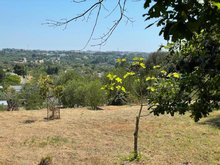 Image No.7-Maison / Villa de 1 chambre à vendre à Ostuni