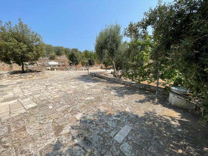 Image No.8-Villa de 4 chambres à vendre à Ostuni