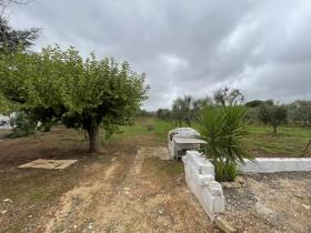 Image No.24-Maison / Villa de 1 chambre à vendre à Ostuni