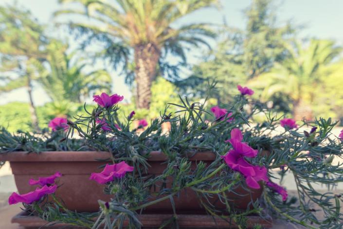 Image No.30-3 Bed Villa for sale