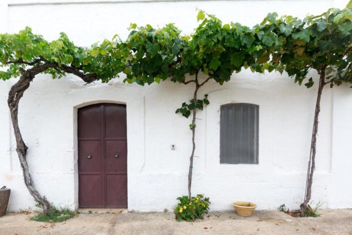 Image No.10-3 Bed Villa for sale