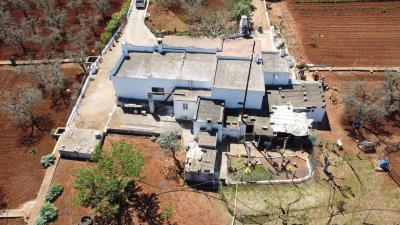 DJI_0061