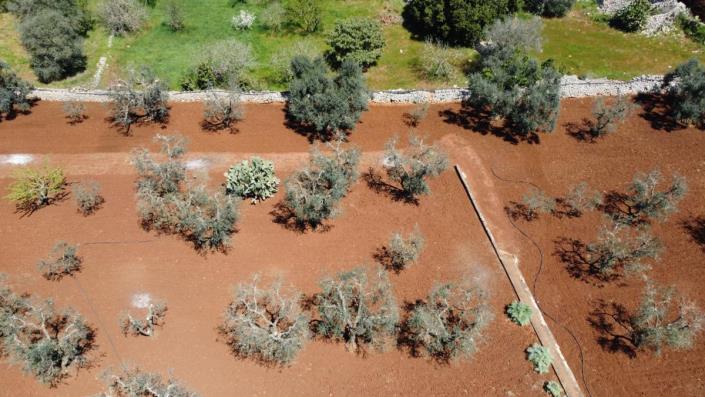 Image No.7-2 Bed Country House for sale