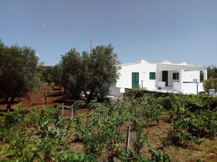 Image No.35-Villa de 2 chambres à vendre à Ostuni