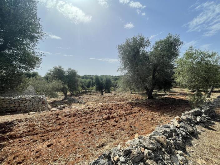 Property for sale in Ostuni 55 properties A Place in the Sun