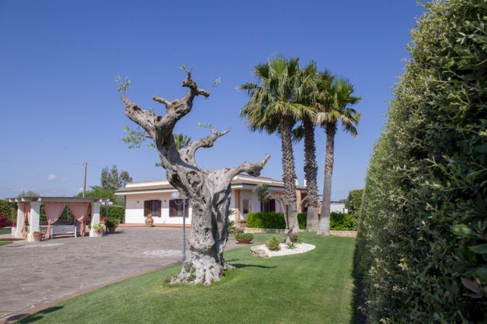 Image No.7-Villa de 5 chambres à vendre à Monopoli