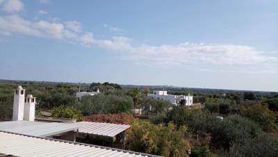 image00009