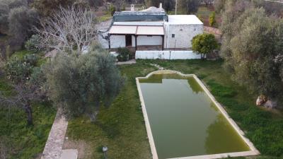 DJI_0151