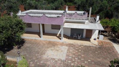 DJI_0239