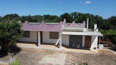 DJI_0240