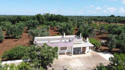 DJI_0242