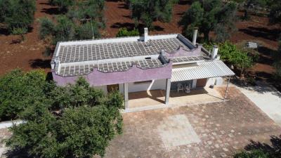 DJI_0244