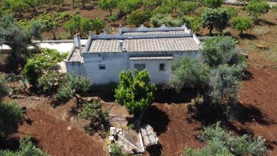 DJI_0246