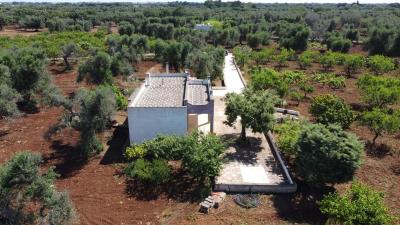 DJI_0247