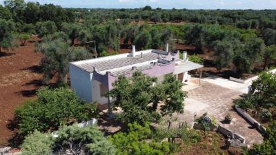DJI_0251