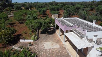 DJI_0253