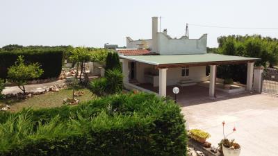 DJI_0283
