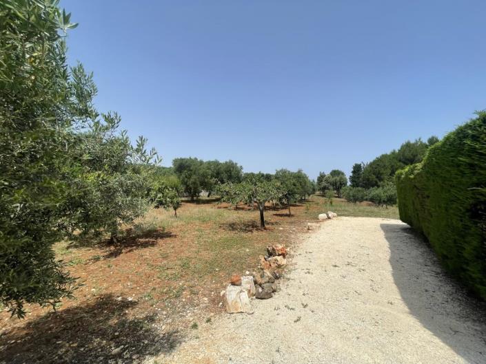 Image No.13-3 Bed Villa for sale