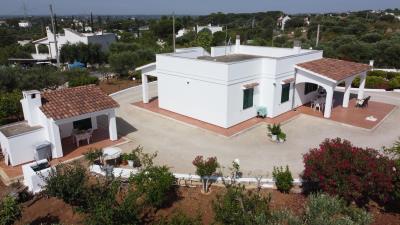 DJI_0365