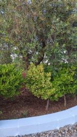 image00022