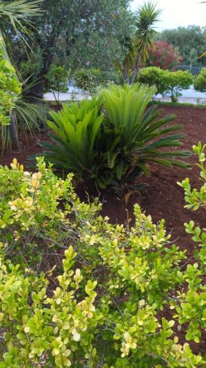 Image No.18-Villa de 3 chambres à vendre à Ostuni