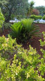 image00023