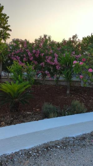 Image No.19-Villa de 3 chambres à vendre à Ostuni