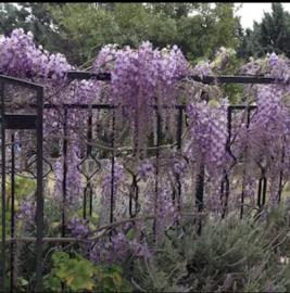 image00011