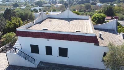 DJI_0387