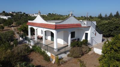 DJI_0390