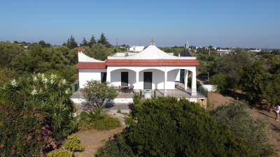 DJI_0393
