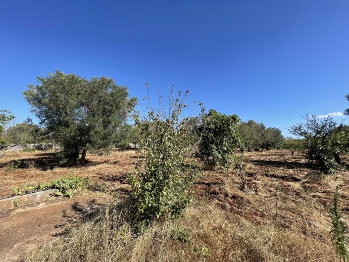 Image No.12-Maison / Villa de 1 chambre à vendre à Ostuni
