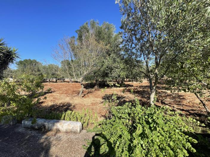 Image No.14-Maison / Villa de 1 chambre à vendre à Ostuni