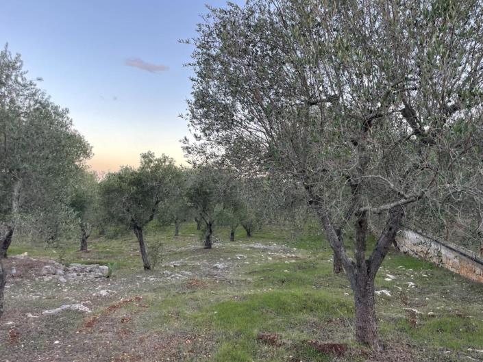 Image No.8-1 Bed Villa for sale