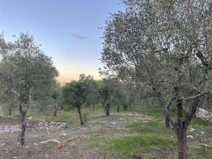 Image No.9-1 Bed Villa for sale