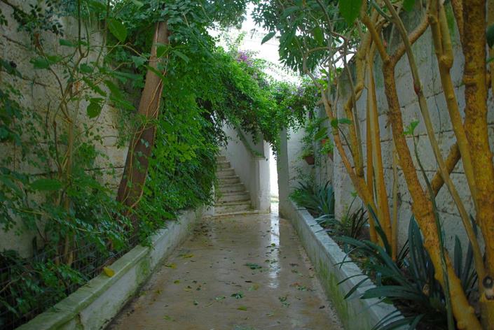 Image No.11-Maison de 4 chambres à vendre à Latiano