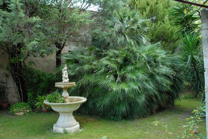 Image No.26-Maison de 4 chambres à vendre à Latiano