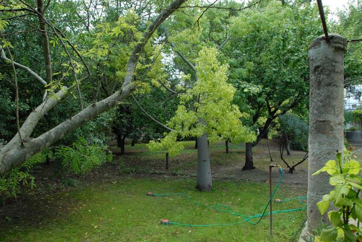 Image No.29-Maison de 4 chambres à vendre à Latiano