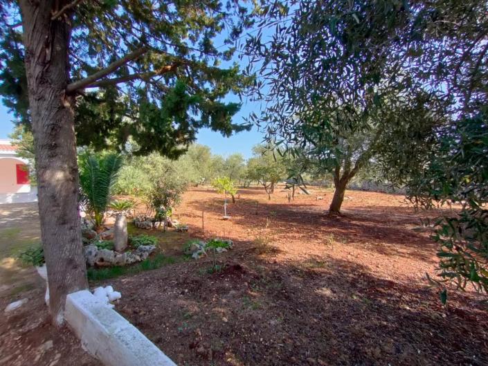 Image No.5-2 Bed Villa for sale