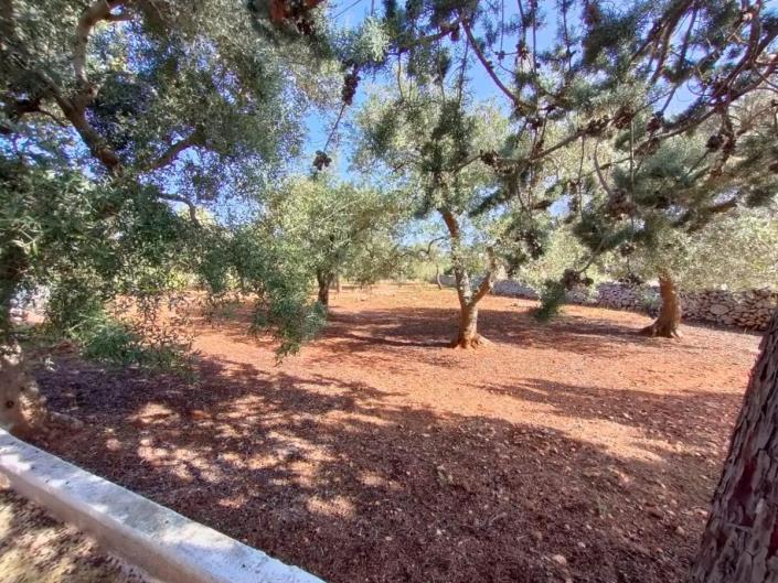 Image No.8-2 Bed Villa for sale