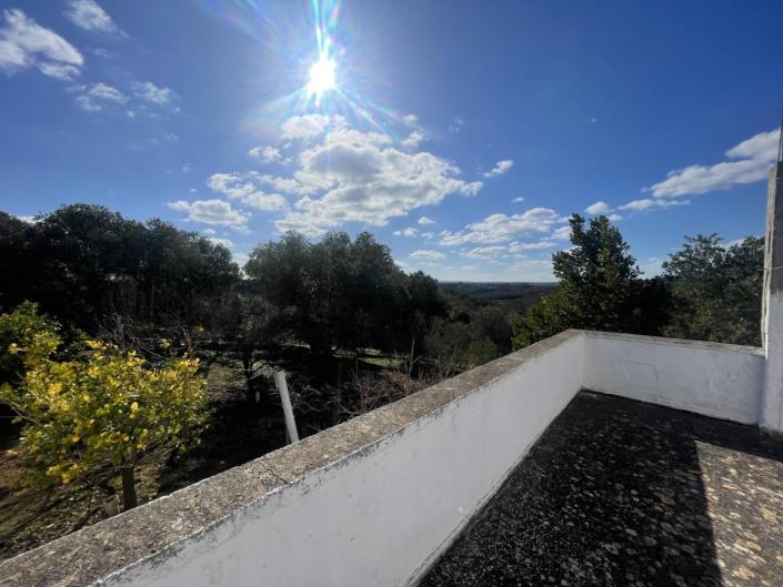 Image No.29-Trullo de 2 chambres à vendre à Ostuni