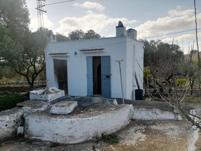 Image No.31-Trullo de 2 chambres à vendre à Ostuni